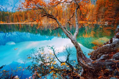 Fusine Gölü - Lago di Fusine - Kuzey İtalya 'da Alpler' de.