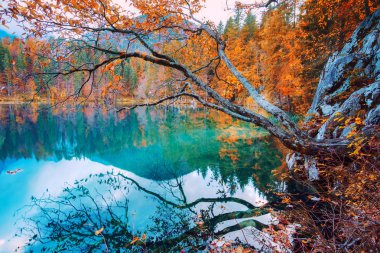 Fusine Gölü - Lago di Fusine - Kuzey İtalya 'da Alpler' de.