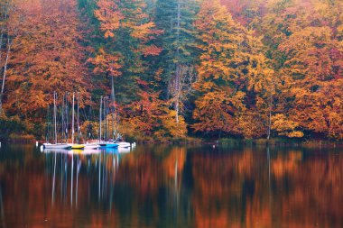 Beautiful autumn scenery at lake Bohinj clipart