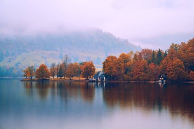 Güzel sonbahar sahne Bohinj Gölü