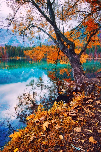 Lago Fusine - Lago di Fusine - no norte da Itália, nos Alpes . — Fotografia de Stock