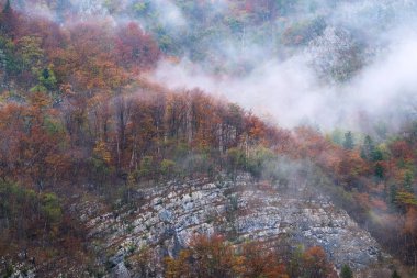 Slovenya 'daki sisli sonbahar dağlarının manzarası