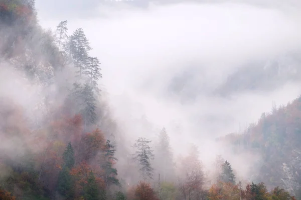 Paisaje de las colinas montañosas otoñales en Eslovenia — Foto de Stock