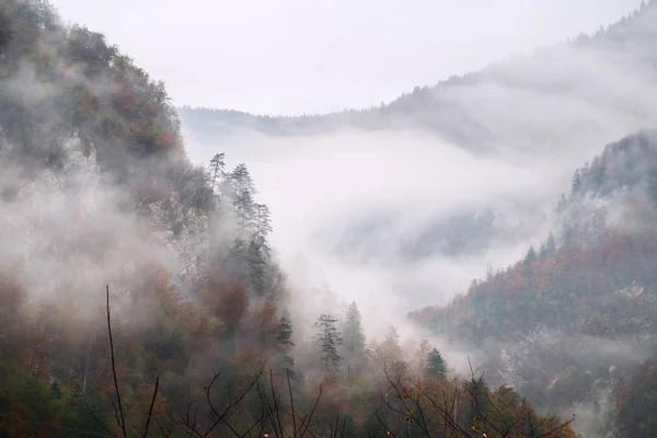 Slovenya 'daki sisli sonbahar dağlarının manzarası — Stok fotoğraf