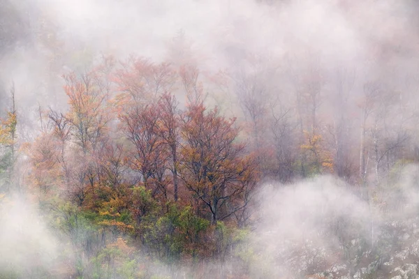 Landschaft nebliger herbstlicher Hügel in Slowenien — Stockfoto