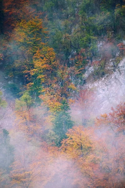 Paysage de collines de montagne d'automne brumeuses en Slovénie — Photo