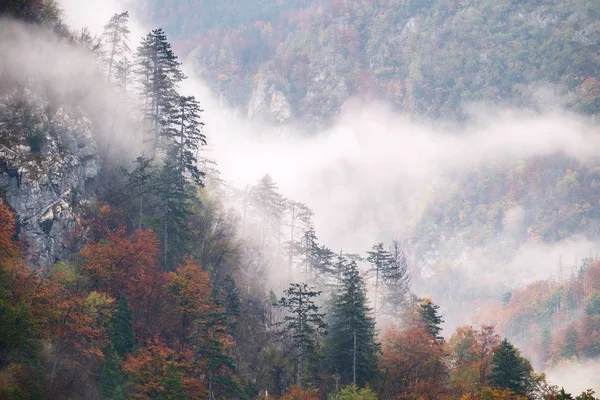 Paisagem de nebulosas colinas de outono na Eslovénia — Fotografia de Stock