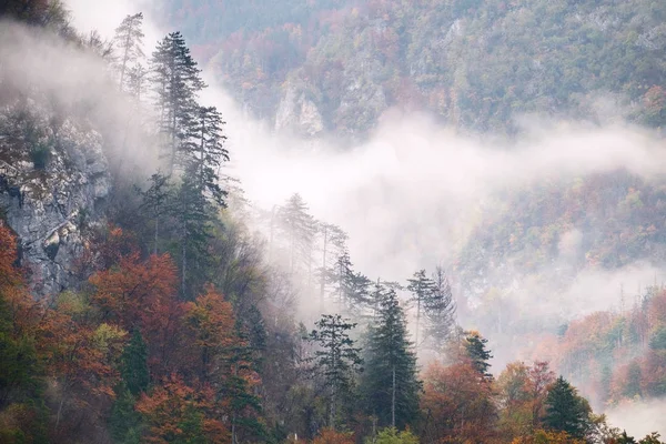 Landschaft nebliger herbstlicher Hügel in Slowenien — Stockfoto