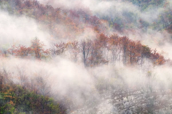 Τοπίο ομιχλώδες φθινόπωρο λόφους βουνό στη Σλοβενία — Φωτογραφία Αρχείου