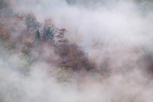 Tájkép ködös őszi hegyi dombok Szlovéniában — Stock Fotó