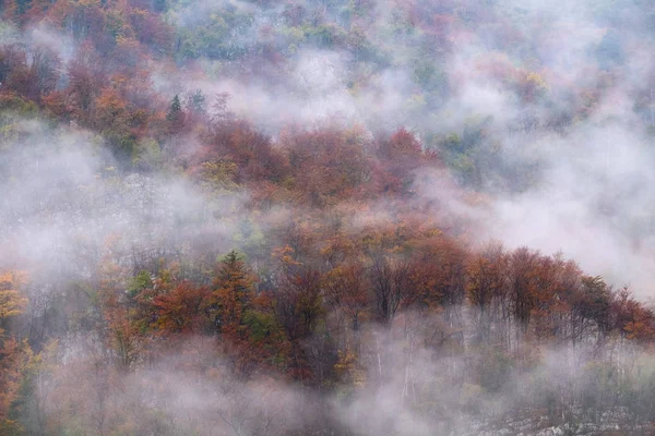 Τοπίο ομιχλώδες φθινόπωρο λόφους βουνό στη Σλοβενία — Φωτογραφία Αρχείου