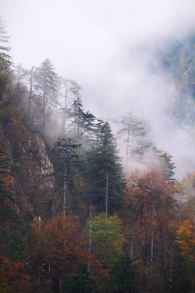 Landscape of misty autumn mountain hills  in Slovenia — Stock Photo, Image