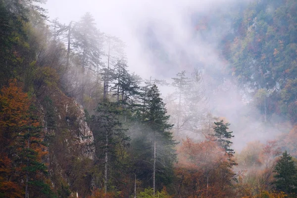 Landskap av dimmiga höst berg kullar i Slovenien — Stockfoto