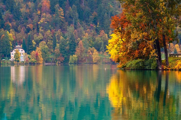 秋天在布莱德湖 — 图库照片