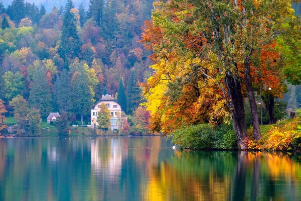 Autumn at lake Bled — Stock Photo, Image