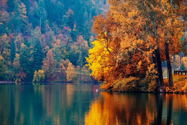 Outono no Lago Bled — Fotografia de Stock