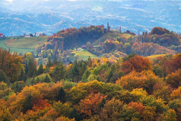 아름다운 가을 풍경 — 스톡 사진