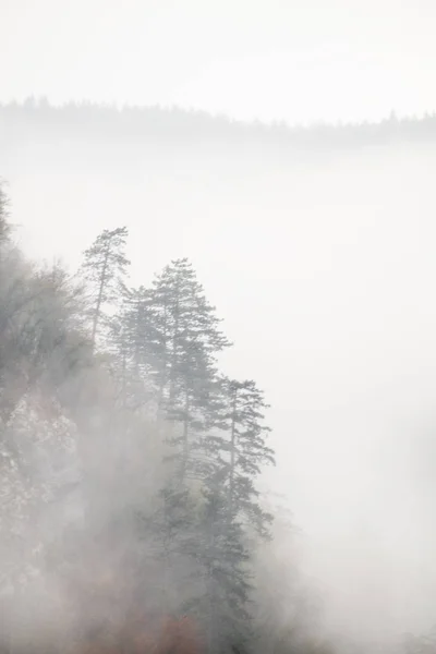 スロベニアの霧深い秋の山の丘の風景 ロイヤリティフリーのストック画像