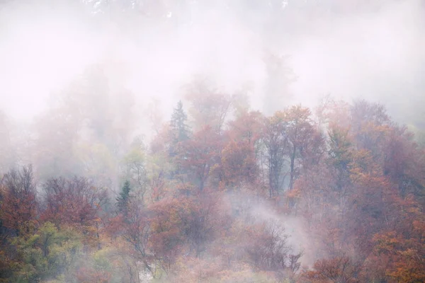 スロベニアの霧深い秋の山の丘の風景 ストック画像