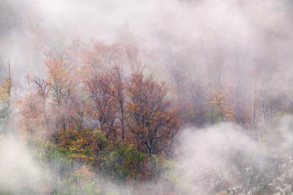 Krajobraz mglistych jesiennych wzgórz górskich w Słowenii Obrazy Stockowe bez tantiem