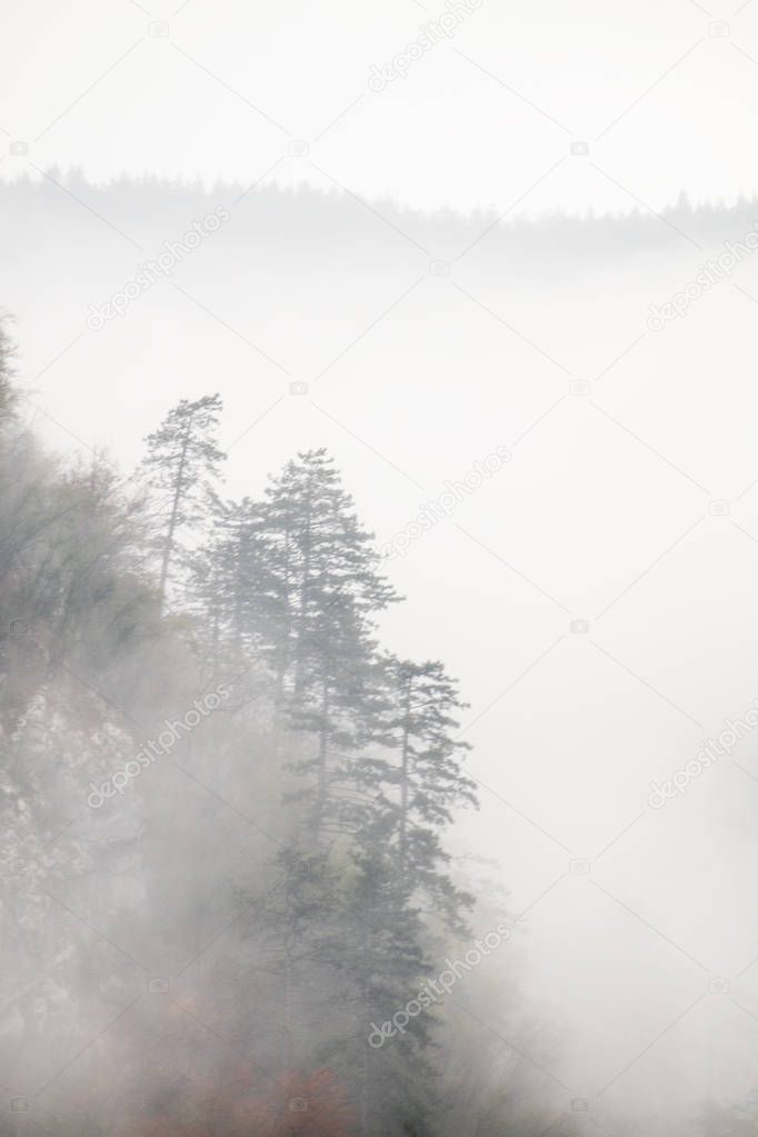 Landscape of misty autumn mountain hills  in Slovenia