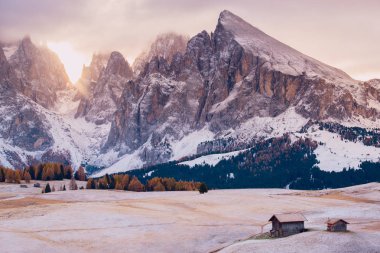 Sassolungo ile Alpe di Siusi veya Seiser Alm Langkofel Dağı