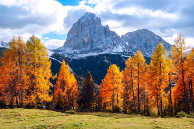 Sassolungo ile Alpe di Siusi veya Seiser Alm Langkofel Dağı