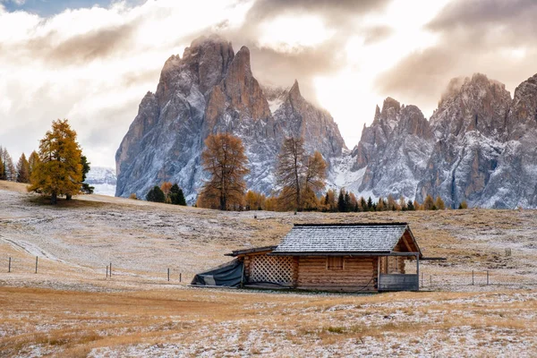 Sassolungo ile Alpe di Siusi veya Seiser Alm Langkofel Dağı — Stok fotoğraf