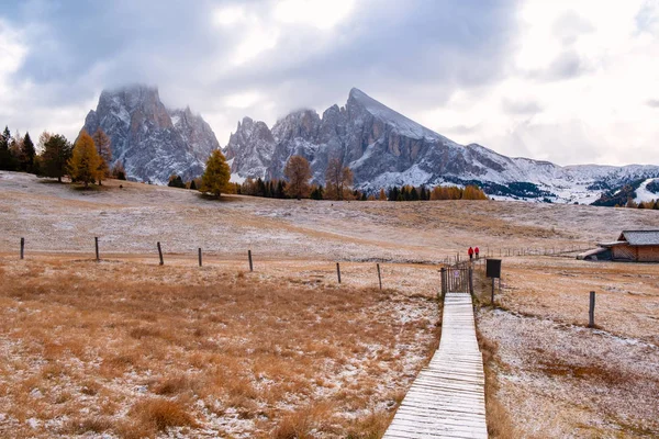 Alpe di Siusi ou Seiser Alm avec Sassolungo - montagne Langkofel — Photo