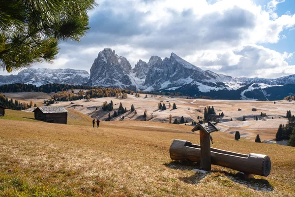 Alpe di Siusi ou Seiser Alm avec Sassolungo - montagne Langkofel — Photo