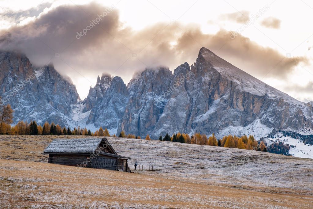 Alpe di Siusi or Seiser Alm with Sassolungo - Langkofel mountain