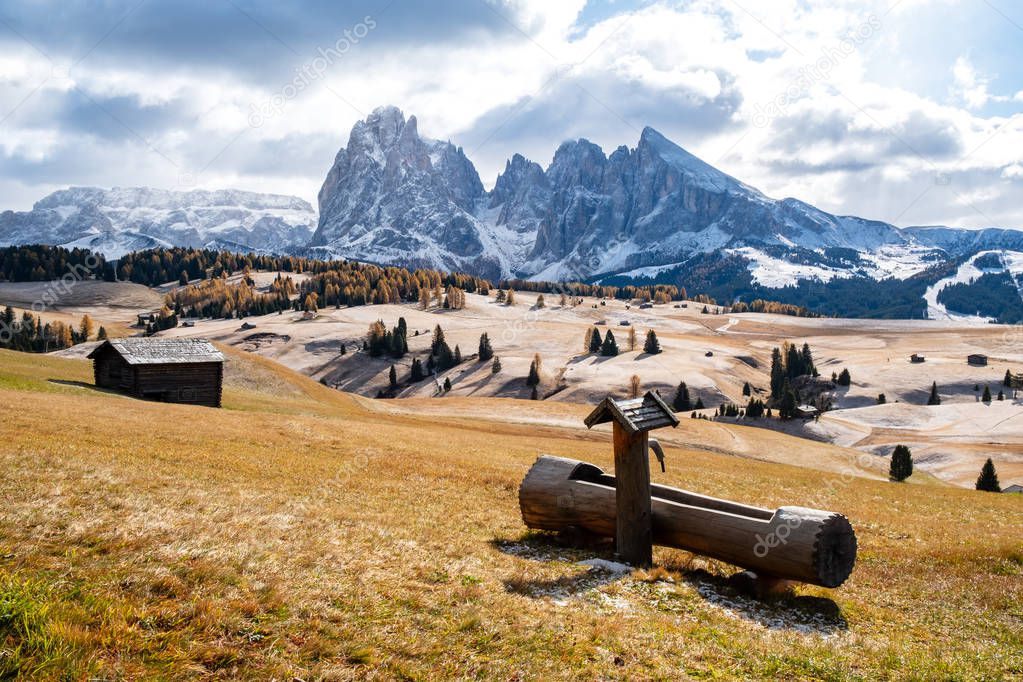 Alpe di Siusi or Seiser Alm with Sassolungo - Langkofel mountain