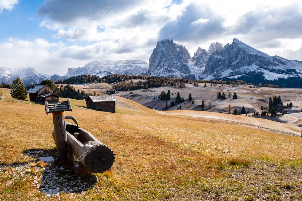 Alpe di Siusi or Seiser Alm with Sassolungo - Langkofel mountain