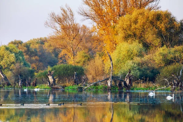 Automne paysage paisible lac — Photo