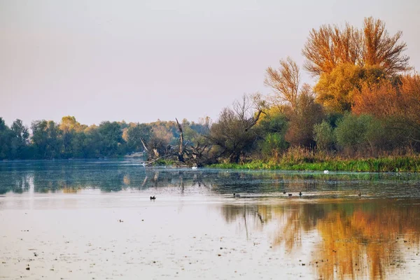 Automne paysage paisible lac — Photo