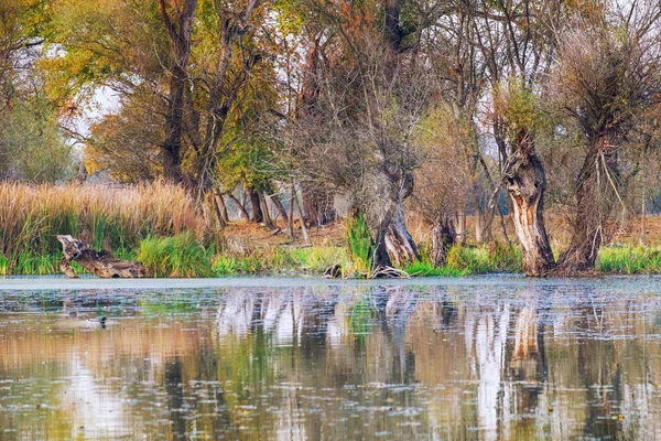 Autumn peaceful lake landscape — Stock Photo, Image