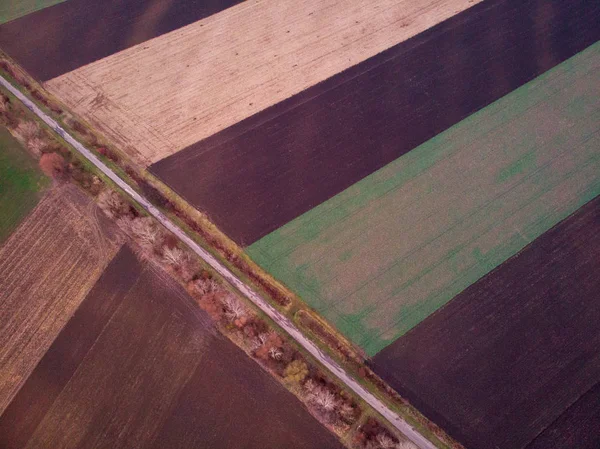 Aerial view of plowed field — Stock Photo, Image