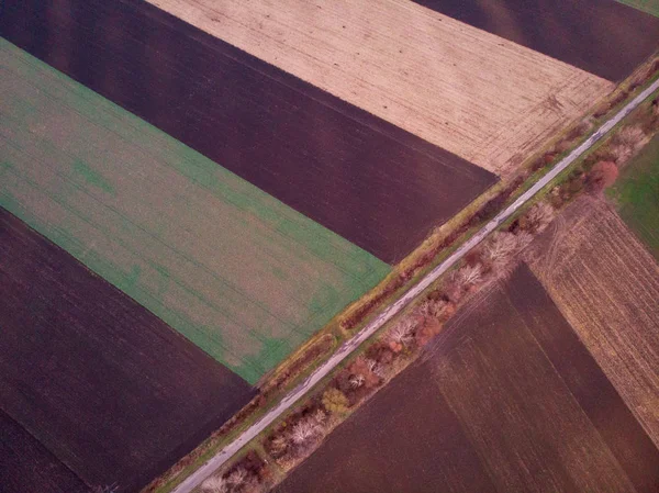 Widok z lotu ptaka na pole orkowe — Zdjęcie stockowe