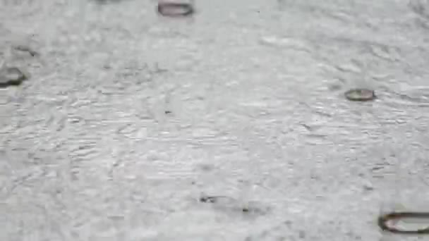 Regen Druppel Straat Zomer — Stockvideo