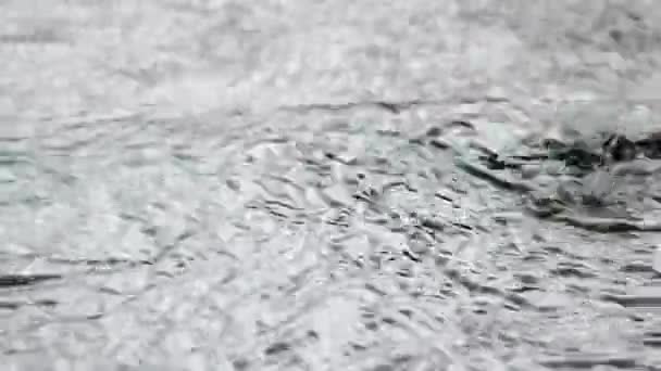 Goutte Pluie Dans Rue Été — Video