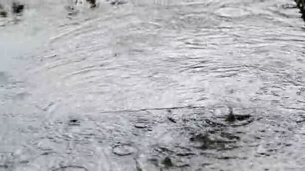Βροχή Σταγόνα Στο Δρόμο Καλοκαίρι — Αρχείο Βίντεο