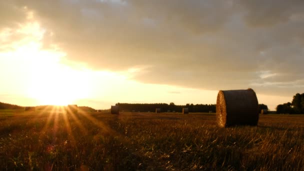 ヘイベイル空と農業分野 農地内の農村性 — ストック動画