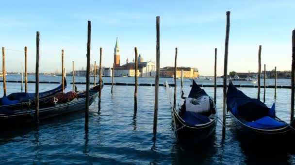 Fila Gondole Parcheggiate Sul Molo Della Città Sul Canal Grande — Video Stock