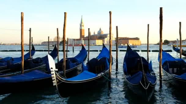 Row Gondolas Parked City Pier Grand Canal Venice Italy Europe — Stock Video
