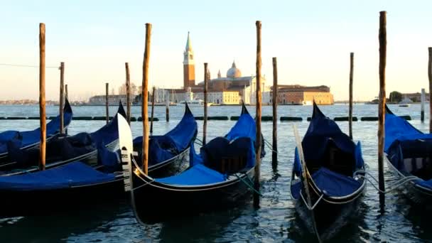 Fila Gondole Parcheggiate Sul Molo Della Città Sul Canal Grande — Video Stock