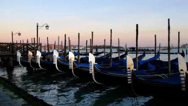 イタリア ヨーロッパのヴェネツィアのグランド運河の都市桟橋に駐車ゴンドラの行 — ストック動画