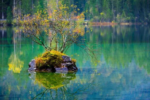 Wonderful Autumn Hintersee Lake Bavarian Alps Austrian Border Germany Europe — Stock Photo, Image