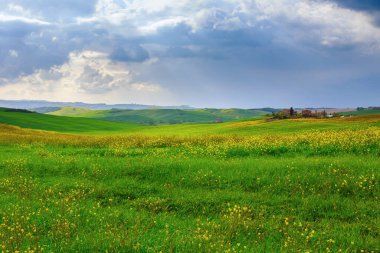 Toskana 'nın yeşil manzarası bahar-İtalya' da