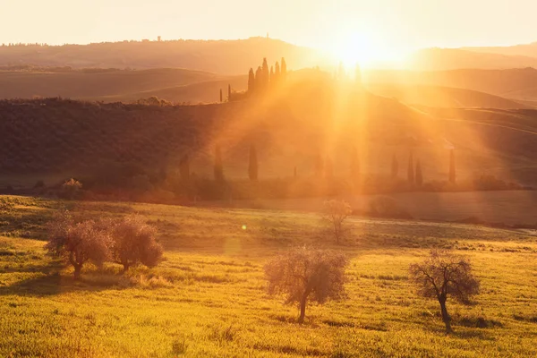 トスカーナイタリアの最も絵のような部分で日の出の朝 ストックフォト