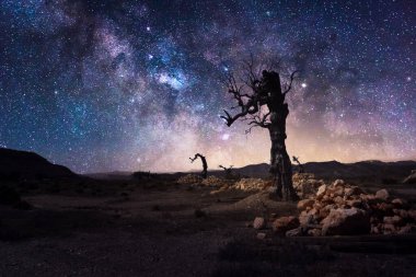 Yıldızlar ve samanyolu Almerya-İspanya yakınlarındaki Tabernas çölünde karanlık bir gecede yalnız ağaçla